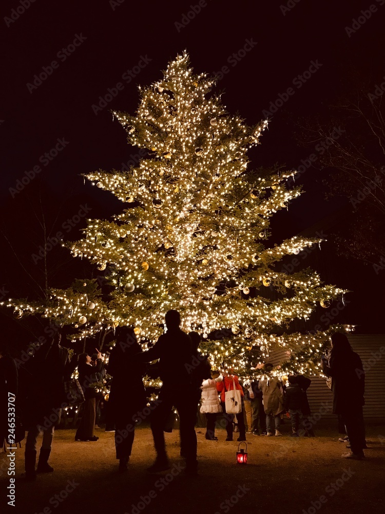 クリスマスツリー カップル シルエット Stock Photo Adobe Stock