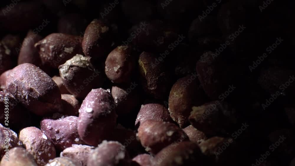 Raw unpeeled peanuts fried with salt. Rotation. Snack closeup. Peanuts in a bowl. Selective focus. black background. Studio shot. Healthy food concept. Raw unpeeled peanuts fried with salt. Rotation. Snack closeup. Peanuts in a bowl. Selective focus. black background. Studio shot. Healthy food concept.