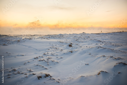 Polar Vortex Chicago