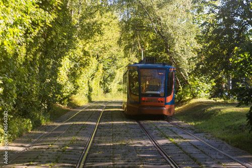 Tram rides through the summer park