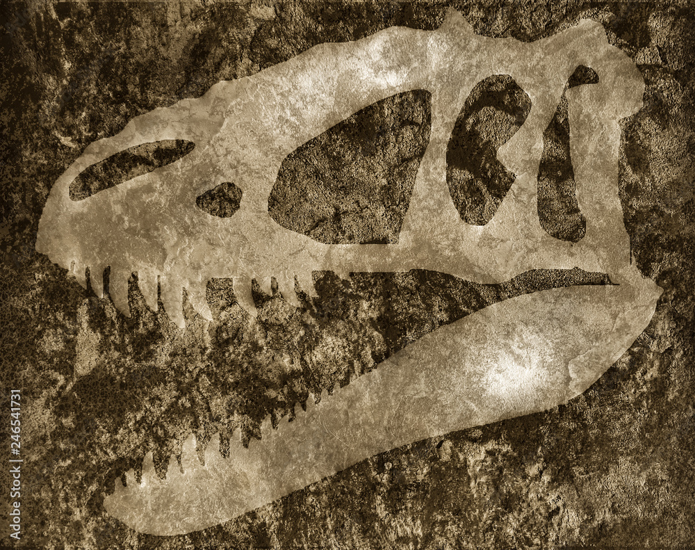 Obraz premium Skull of tyrannosaur on rock