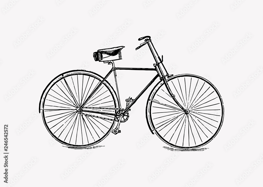 Fototapeta premium Bicycle vintage design