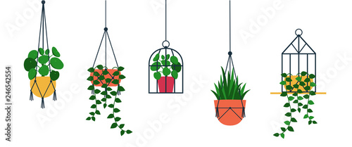 Standing and hanging terrarium with potted plants. Bundle of trendy macrame hangers for plants growing in pots (pilea,string of pearls,planthanger) Cartoon flat vector illustration isolated from white