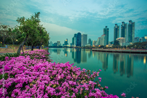Background of flowers by the pool, wallpaper, high-rise buildings (condominiums, offices) that are located by the pool, parks, fitness areas of nearby residents.
