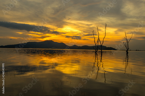 The background of the twilight light in the evening on the lake  with a perennial tree on the water  is a natural beauty.