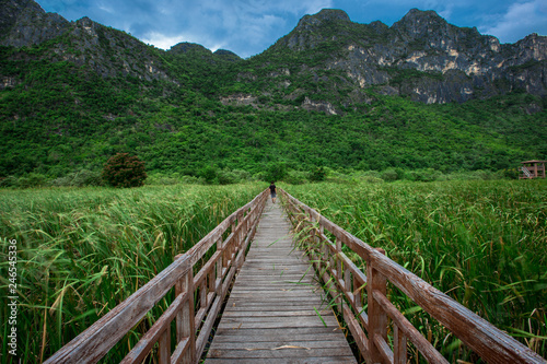 Wallpaper, wooden bridge, mountain side, overlooking the surrounding trees, wind blowing all the time, cool weather, a vacation spot for travelers or viewpoints on the go.