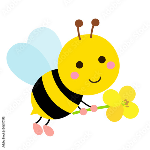 Honeybee carrying rape blossoms