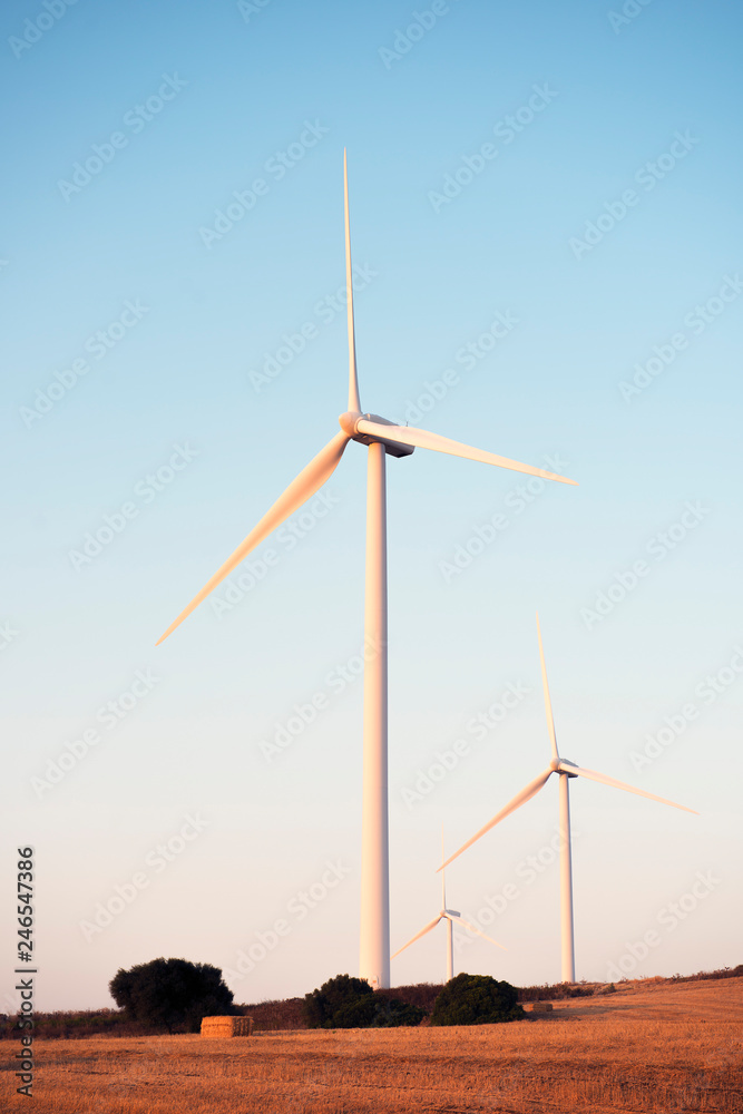 vertical photo of three windmills of a wind farm vertical photo of three windmills of a wind farm