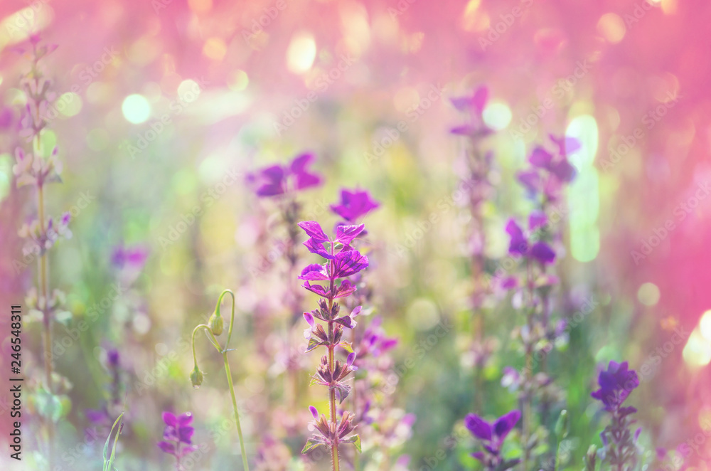 Naklejka premium Flowers