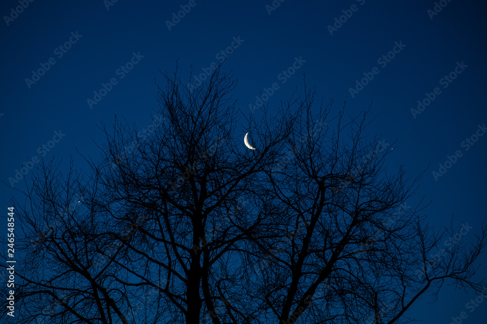 View of Venus- Jupiter conjuntion with waning moon at dawn View of Venus- Jupiter conjuntion with waning moon at dawn