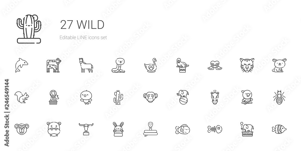 wild icons set wild icons set