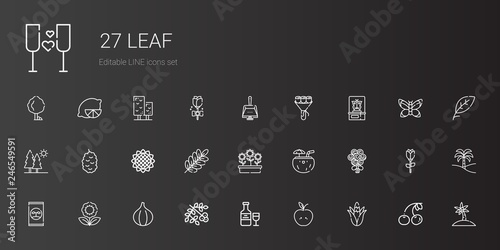 leaf icons set photo