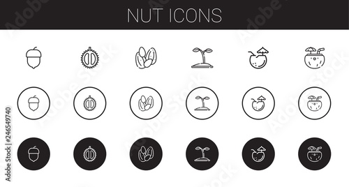 nut icons set