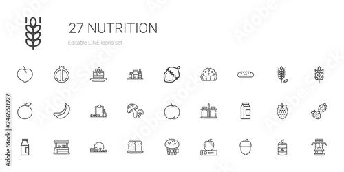 nutrition icons set © NinjaStudio