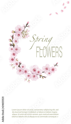 Flying sakura flowers. Theme design cover, invitation, booklet, printing. Magenta on white fond. Handmade background in oriental style.