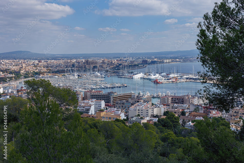 Bay with snow-white yachts and the panorama of the Spanish city of Palma de Mallorca against the backdrop of mountains and blue sky