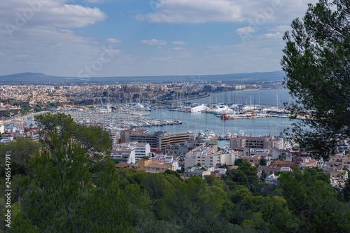 Bay with snow-white yachts and the panorama of the Spanish city of Palma de Mallorca against the backdrop of mountains and blue sky