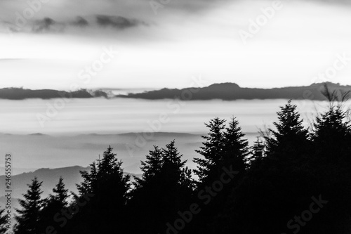 Trees silhouettes against the sky at dusk  with mountains layers in the background