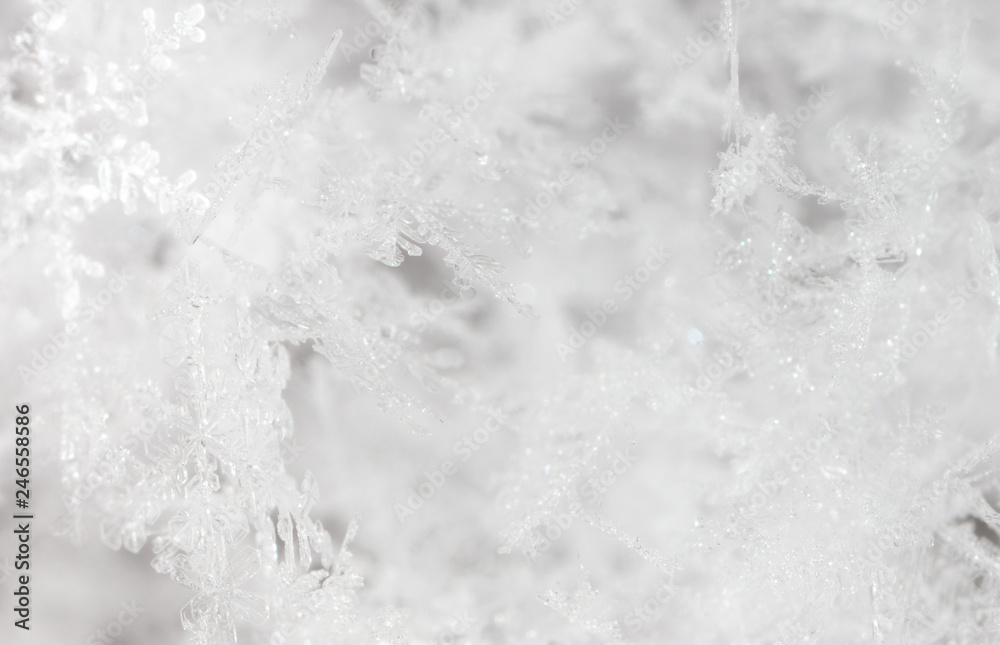 White snowflakes on nature as a background White snowflakes on nature as a background