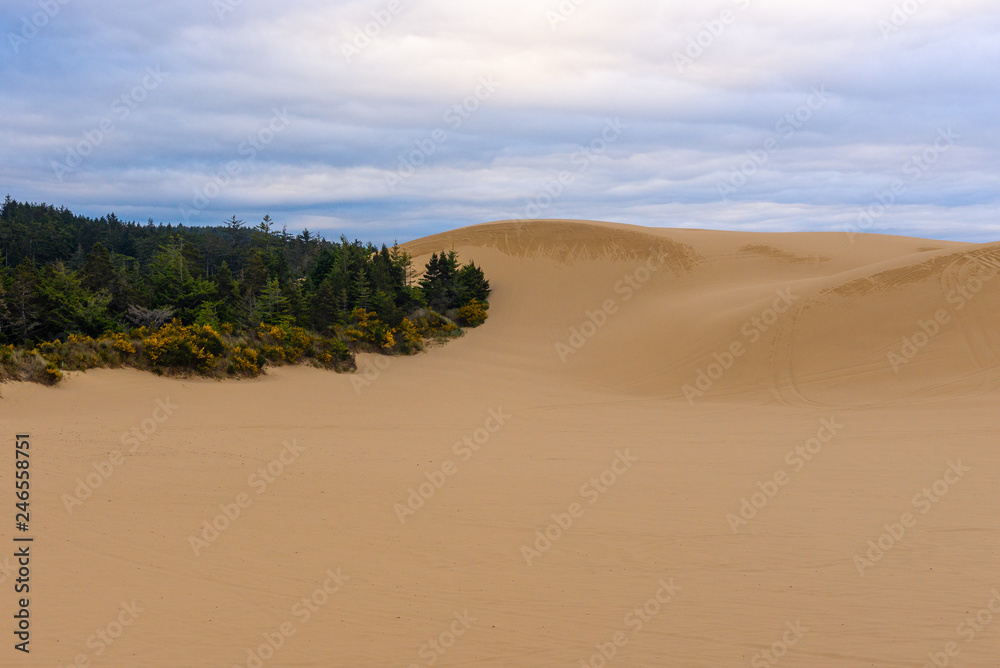 Oregon Dunes National Recreation Area, USA