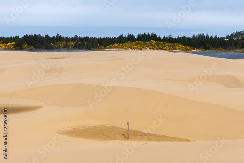 Oregon Dunes National Recreation Area, USA