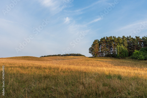 The landscape on island Ruegen  Germany