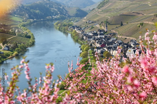 Landschaft der Mosel im Frühling