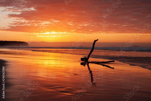Sunrise at the beach with Large Log, driftwood.