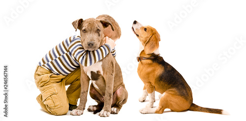 Canvas Print Little boy playing with his dogs isolated on white background