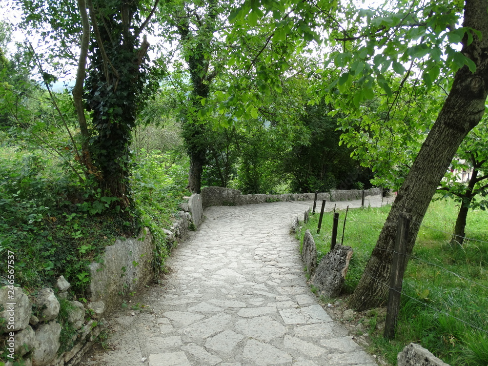 Fototapeta premium Chemin de pierres