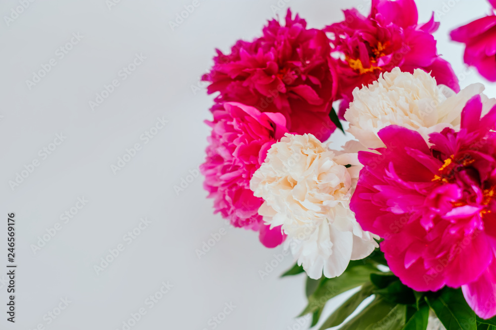 Frame of beautiful fuchsia and white peony flower bouquet on the white background. Closeup, flatlay style. Frame of beautiful fuchsia and white peony flower bouquet on the white background. Closeup, flatlay style.