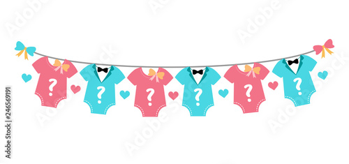Gender reveal party,  baby shower, boy or girl
