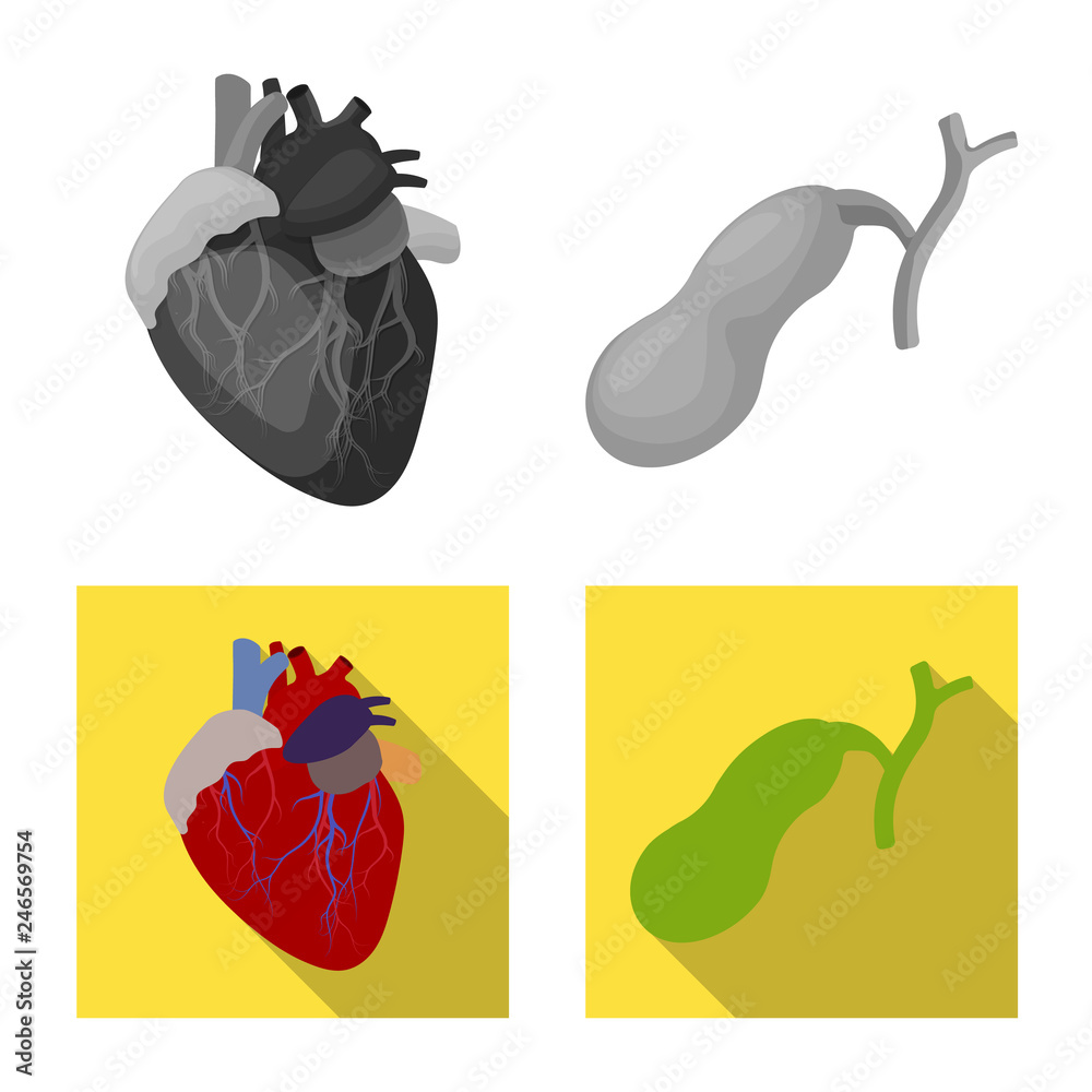 Vector illustration of body and human sign. Collection of body and medical vector icon for stock. Vector illustration of body and human sign. Collection of body and medical vector icon for stock.