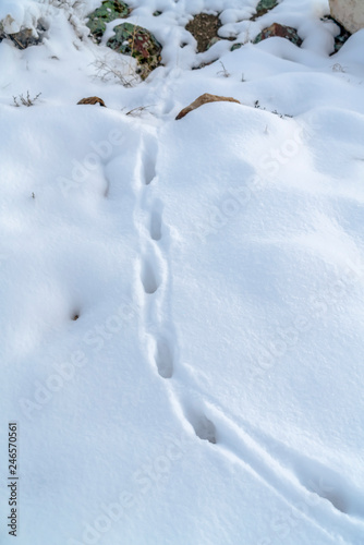 Footprints on powdery snow covering rocky terrain