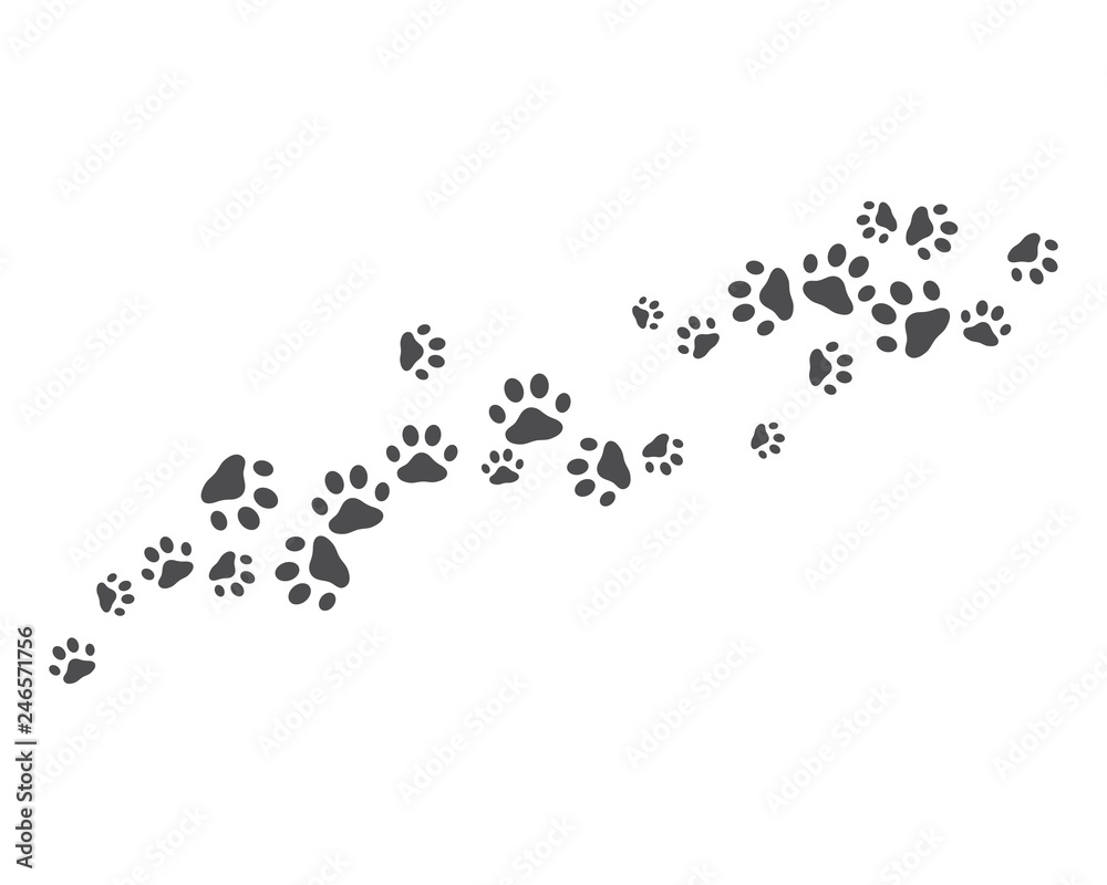 Paw background template Paw background template