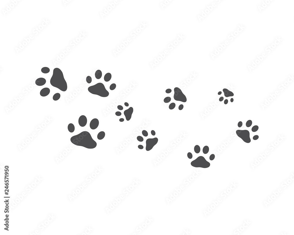 Paw background template Paw background template