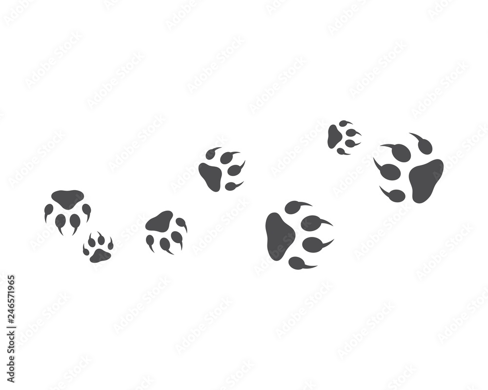 Paw background template Paw background template