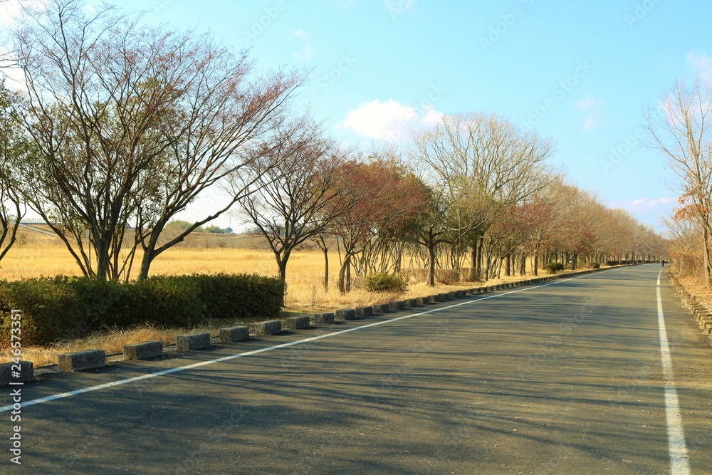 Fototapeta premium 冬の景色 渡良瀬 茨城