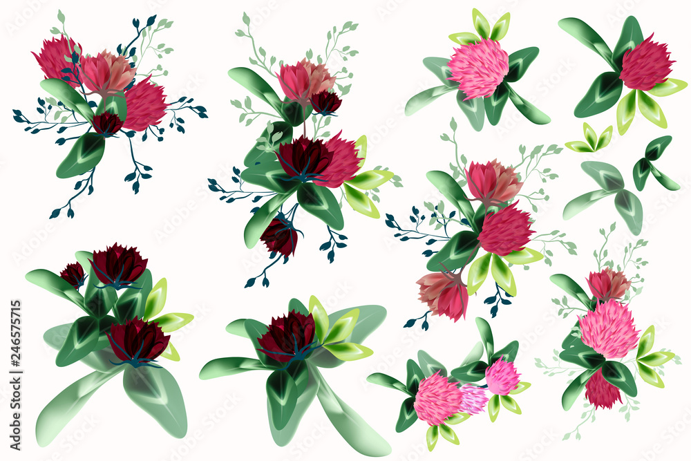 Big collection of vector realistic flowers
