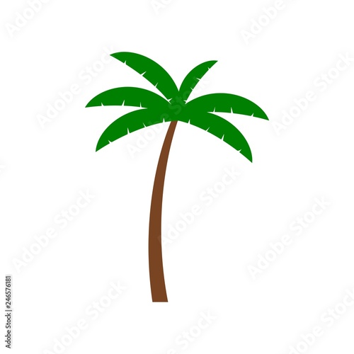 Palm tree icon or logo  island sign