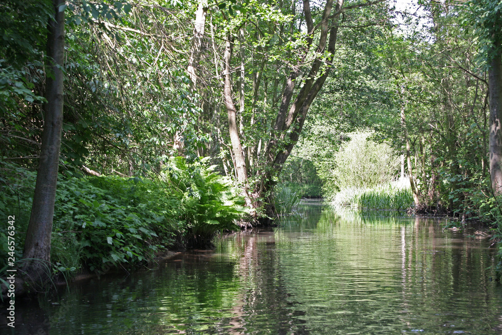 Spreewald Spreewald