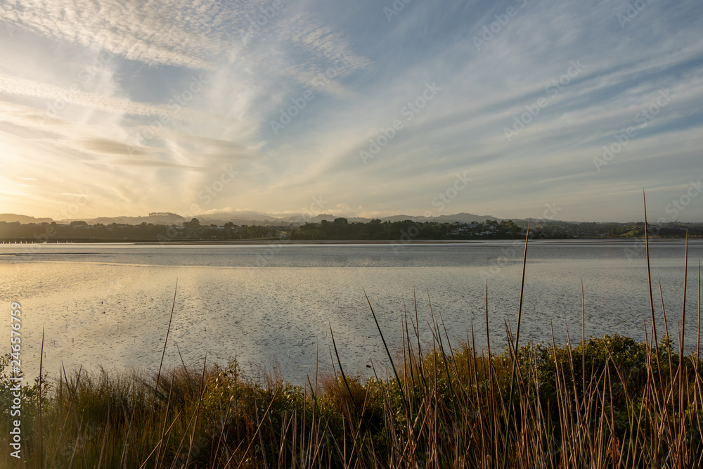 Sunrise over Tauranga mangroves flat 