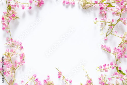 square border frame with pink flower , branches and leaves isolated on white background with copy space. flat lay, top view