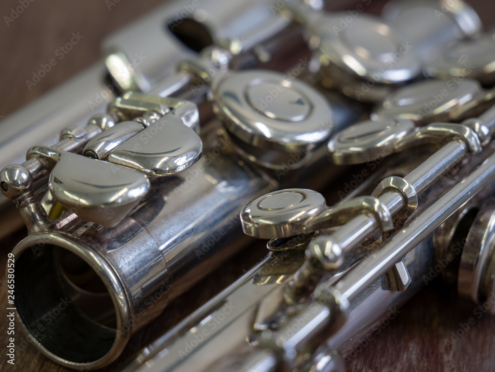 Naklejka premium Flöte, Teile 1