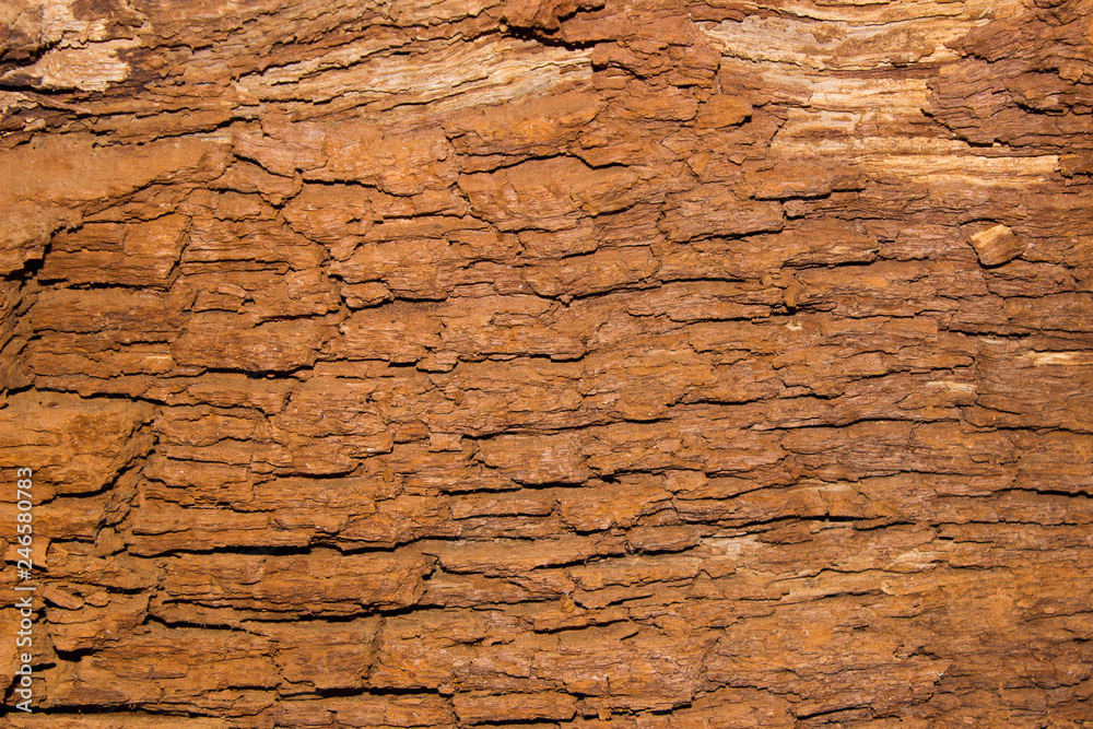 Fototapeta premium crust texture