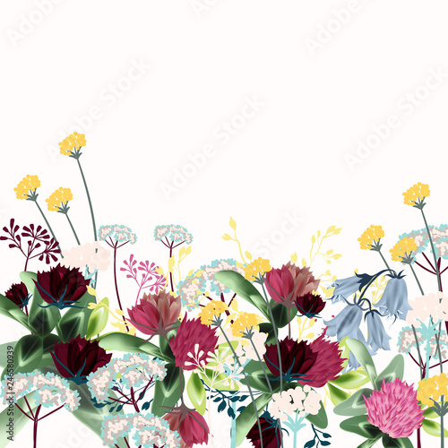 Illustration with rustic field flowers