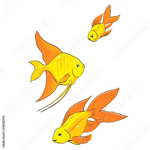 Set of gold fishes isolated on white background. Hand drawn illustration. Vector
