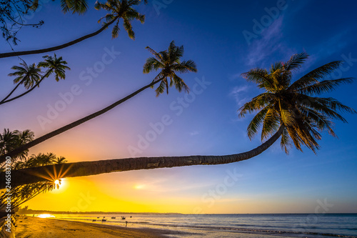 Fototapeta Naklejka Na Ścianę i Meble -  Palm trees and amazing  sky on sunrise at Fishing Village , Binh Thuan, Vietnam . Coconut Tree with Beautiful and romantic sunrise at Mui ne