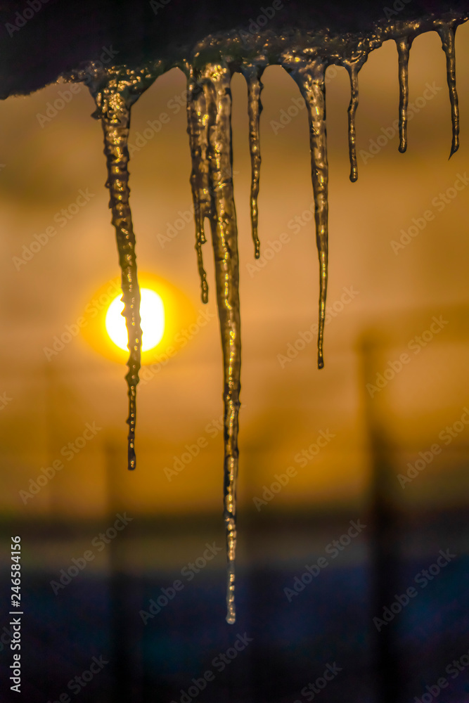 Icicles hanging from a roof against the golden sun Icicles hanging from a roof against the golden sun