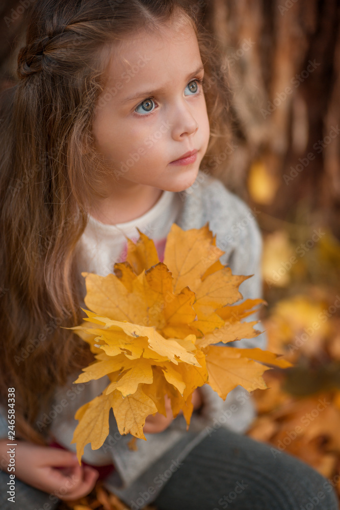 portrait of little girl with autumn leaves portrait of little girl with autumn leaves